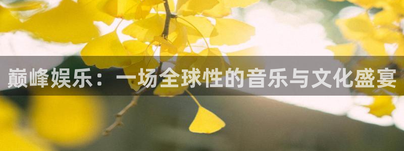 bb电子怎么赢：巅峰娱乐：一场全球性的音乐与文化盛宴